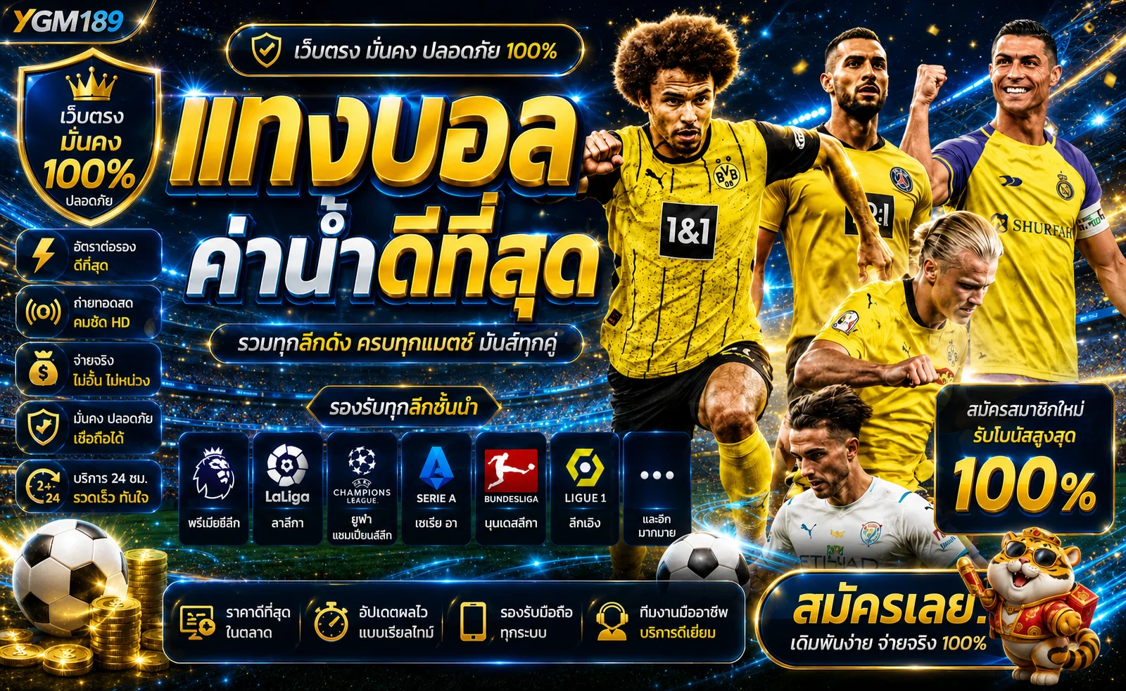 แบนเนอร์ข้อมูลกีฬาและทางเข้า YGM189 โทนน้ำเงินทอง